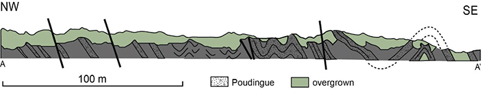 Fig 7