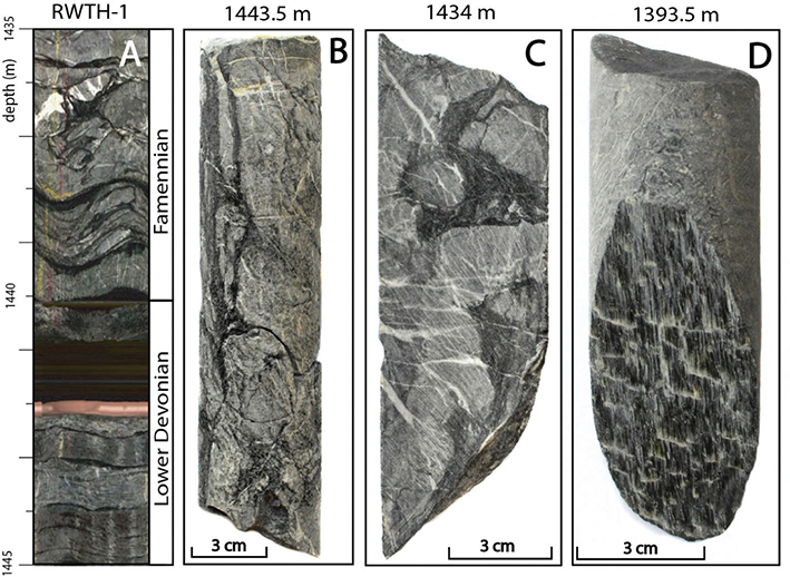 Fig 14